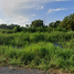  Land for sale in Pathum Thani, Khlong Song, Khlong Luang, Pathum Thani