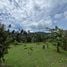  Land for sale in Koh Samui Surat Thani, Maret