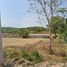  Land for sale in Thalang, Phuket, Si Sunthon, Thalang