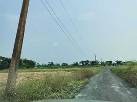  Land for sale in Saraphi, Chiang Mai, Nong Faek, Saraphi