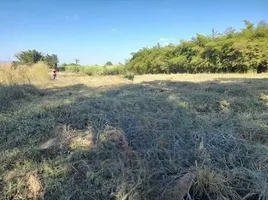  Grundstück zu verkaufen in Phu Kradueng, Loei, Si Than, Phu Kradueng, Loei