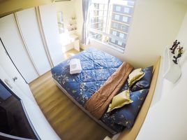 1 Schlafzimmer Wohnung zu vermieten im U Campus Rangsit-Muangake, Pracha Thipat