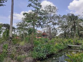  Land for sale in Samut Prakan, Bang Kachao, Phra Pradaeng, Samut Prakan