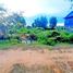  Land for sale in Krong Siem Reap, Siem Reap, Krabei Riel, Krong Siem Reap