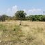  Land for sale in San Kamphaeng Chiang Mai, Buak Khang, San Kamphaeng, Chiang Mai