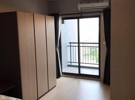 1 Schlafzimmer Appartement zu vermieten im Ideo Sukhumvit 115, Thepharak