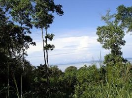  Grundstück zu verkaufen in Khlong Yai, Trat, Hat Lek