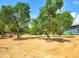  Grundstück zu verkaufen in Mae Rim, Chiang Mai, Saluang