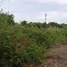  Grundstück zu verkaufen in Mueang Chachoengsao, Chachoengsao, Sothon, Mueang Chachoengsao