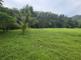  Land for sale in Thalang Phuket, Thep Krasattri, Thalang