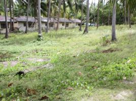  Land for sale in Lipa Noi Beach, Lipa Noi, Lipa Noi