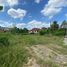  Land for sale in Khuan Thani, Trang, Khuan Thani, Kantang, Trang