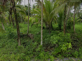  Land for sale in Mueang Surat Thani, Surat Thani, Bang Bai Mai, Mueang Surat Thani