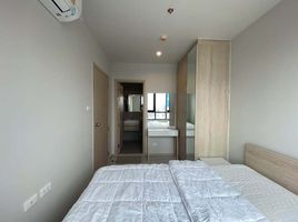 1 Bedroom Condo for rent at Nue Noble Ngamwongwan, Bang Khen