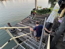  Grundstück zu verkaufen in Pak Kret, Nonthaburi, Bang Tanai