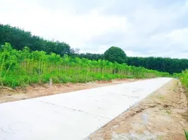  Земельный участок for sale in Makham Khu, Nikhom Phatthana, Makham Khu