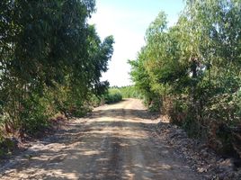  Grundstück zu verkaufen in Phimai, Nakhon Ratchasima, Nong Rawiang