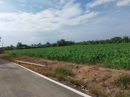  Grundstück zu verkaufen in Tha Muang, Kanchanaburi, Tha Muang