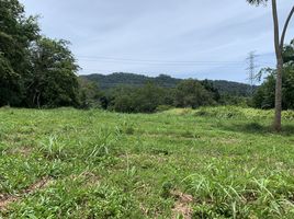  Land for sale in Thep Krasattri, Phuket, Thep Krasattri, Thalang