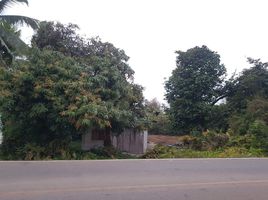  Land for sale in Lamphun, Pratu Pa, Mueang Lamphun, Lamphun