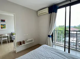 1 Schlafzimmer Appartement zu vermieten im Zcape X2, Choeng Thale