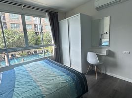 1 Schlafzimmer Wohnung zu vermieten im Dcondo Campus Resort Kuku Phuket, Ratsada