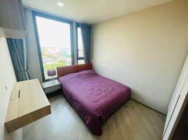 2 Bedroom Condo for sale at The Base Saphanmai, Anusawari