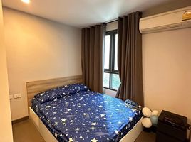 2 Schlafzimmer Wohnung zu vermieten im Mirage Sukhumvit 27, Khlong Toei