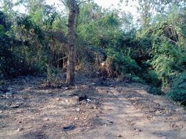  Land for sale in Kut Pong, Mueang Loei, Kut Pong