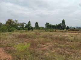  Land for sale in Huai Yang Thon, Pak Tho, Huai Yang Thon