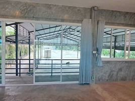 2 Schlafzimmer Warenhaus zu verkaufen in Phru Phi, Surat Thani, Phru Phi