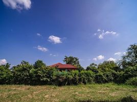  Land for sale in Royal Park Rajapruek, Mae Hia, Mae Hia