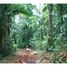  Land for sale in Golfito, Puntarenas, Golfito