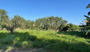 N/A Land for sale in Fa Ham, Chiang Mai 