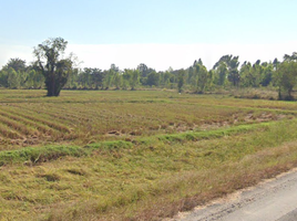  Land for sale in Chom Phra, Surin, Mueang Ling, Chom Phra