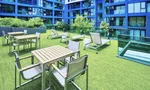 Communal Garden Area at Acqua Condo