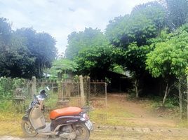  Grundstück zu verkaufen in Malika, Chiang Mai, Malika, Mae Ai