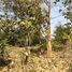  Land for sale in Nakhon Ratchasima, Chai Mongkhon, Mueang Nakhon Ratchasima, Nakhon Ratchasima