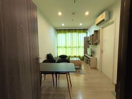 1 Schlafzimmer Wohnung zu vermieten im The Base Chaengwattana, Khlong Kluea
