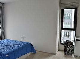 2 Schlafzimmer Appartement zu vermieten im Life Sukhumvit 48, Phra Khanong, Khlong Toei