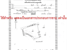 ขายที่ดิน ใน ป่าติ้ว ยโสธร, กระจาย