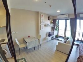 1 Schlafzimmer Appartement zu vermieten im Condolette Midst Rama 9, Huai Khwang