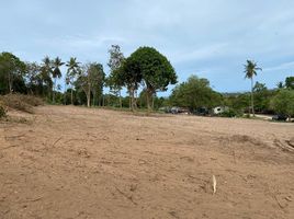  Land for sale in Thai International Hospital, Bo Phut, Bo Phut