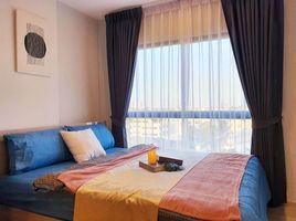 1 Bedroom Condo for rent at Plum Condo Sukhumvit 97.1, Bang Chak