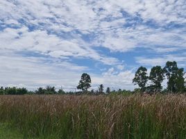  Land for sale in Bang Chan, Mueang Phetchaburi, Bang Chan