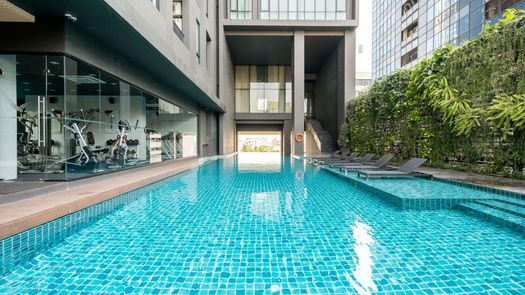 图片 1 of the Communal Pool at Movenpick Residences Ekkamai