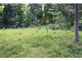  Land for sale in Costa Rica, Garabito, Puntarenas, Costa Rica