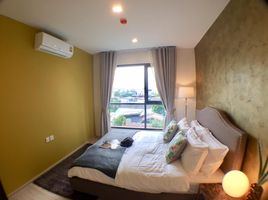 2 Schlafzimmer Wohnung zu vermieten im Life Sukhumvit 48, Phra Khanong, Khlong Toei, Bangkok