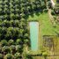  Land for sale in Nakhon Si Thammarat, Thung Sai, Sichon, Nakhon Si Thammarat