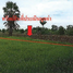  Land for sale in Nakhon Ratchasima, Nai Mueang, Phimai, Nakhon Ratchasima